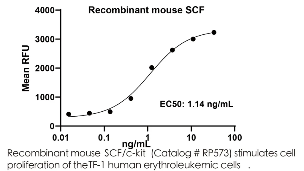 Mouse SCF Recombinant Protein (HEK293 Expression) — Tag Free - Image 2
