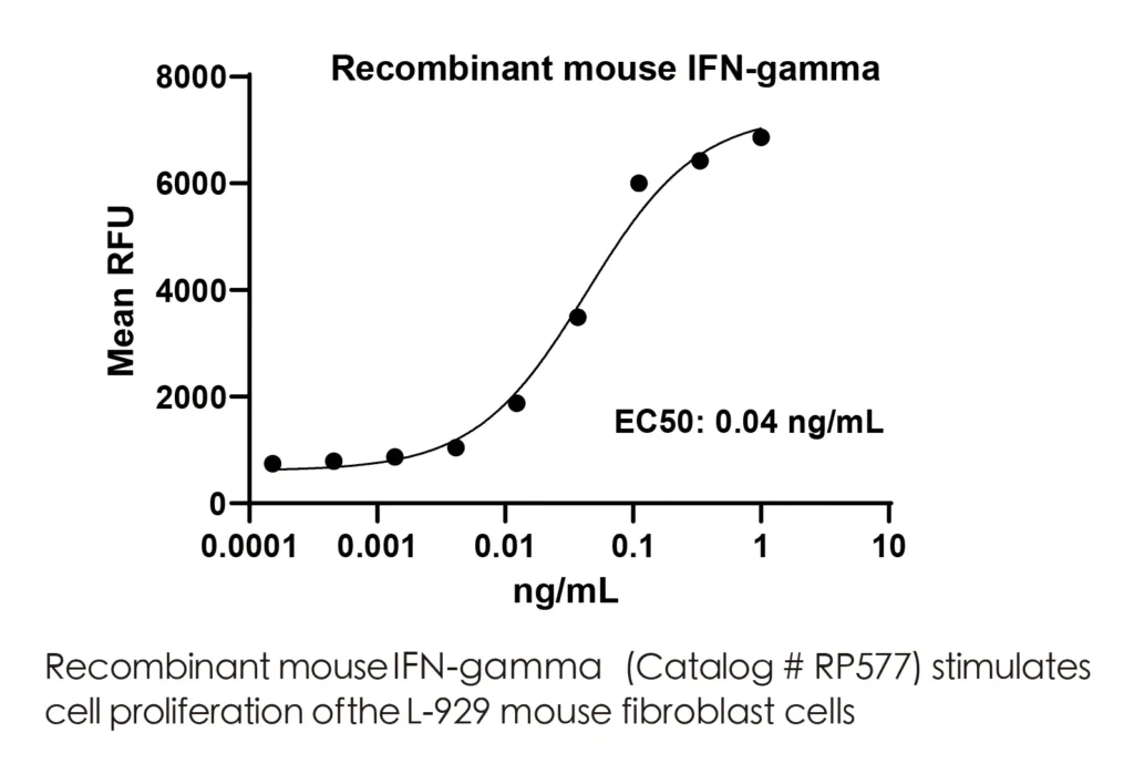 Mouse IFNg Recombinant Protein (HEK293 Expression) — Tag Free - Image 2