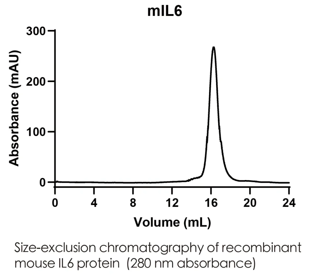 Mouse IL6 Recombinant Protein (HEK293 Expression) — Tag Free - Image 2