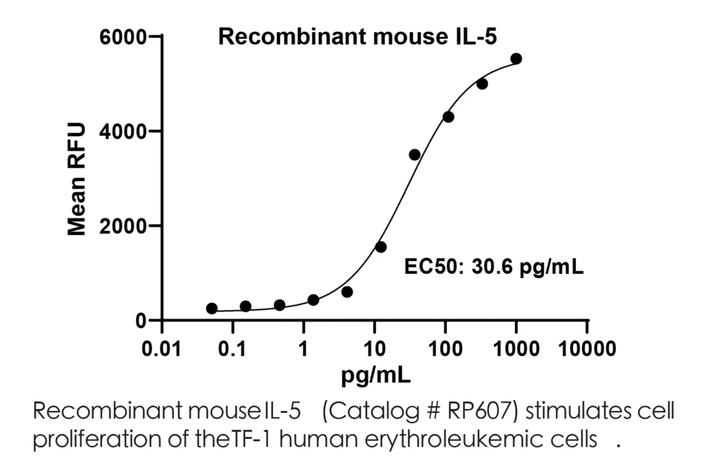 Mouse IL5 Recombinant Protein (HEK293 Expression) — Tag Free - Image 2