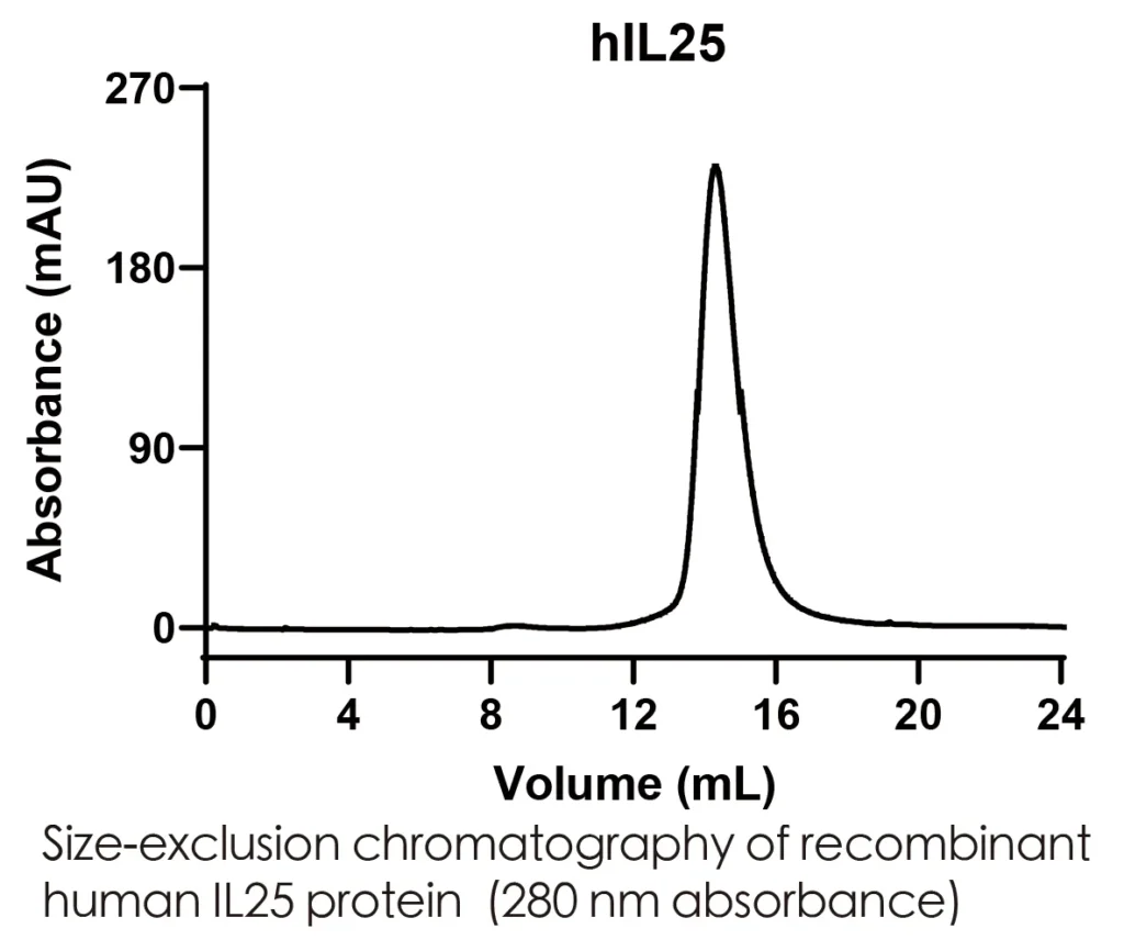 Human IL25 Recombinant Protein (HEK293 Expression) - Image 2