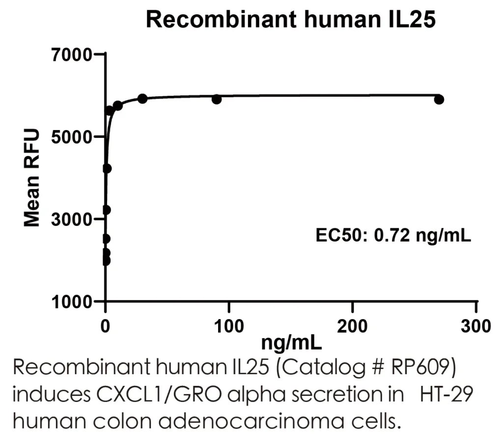 Human IL25 Recombinant Protein (HEK293 Expression) - Image 3