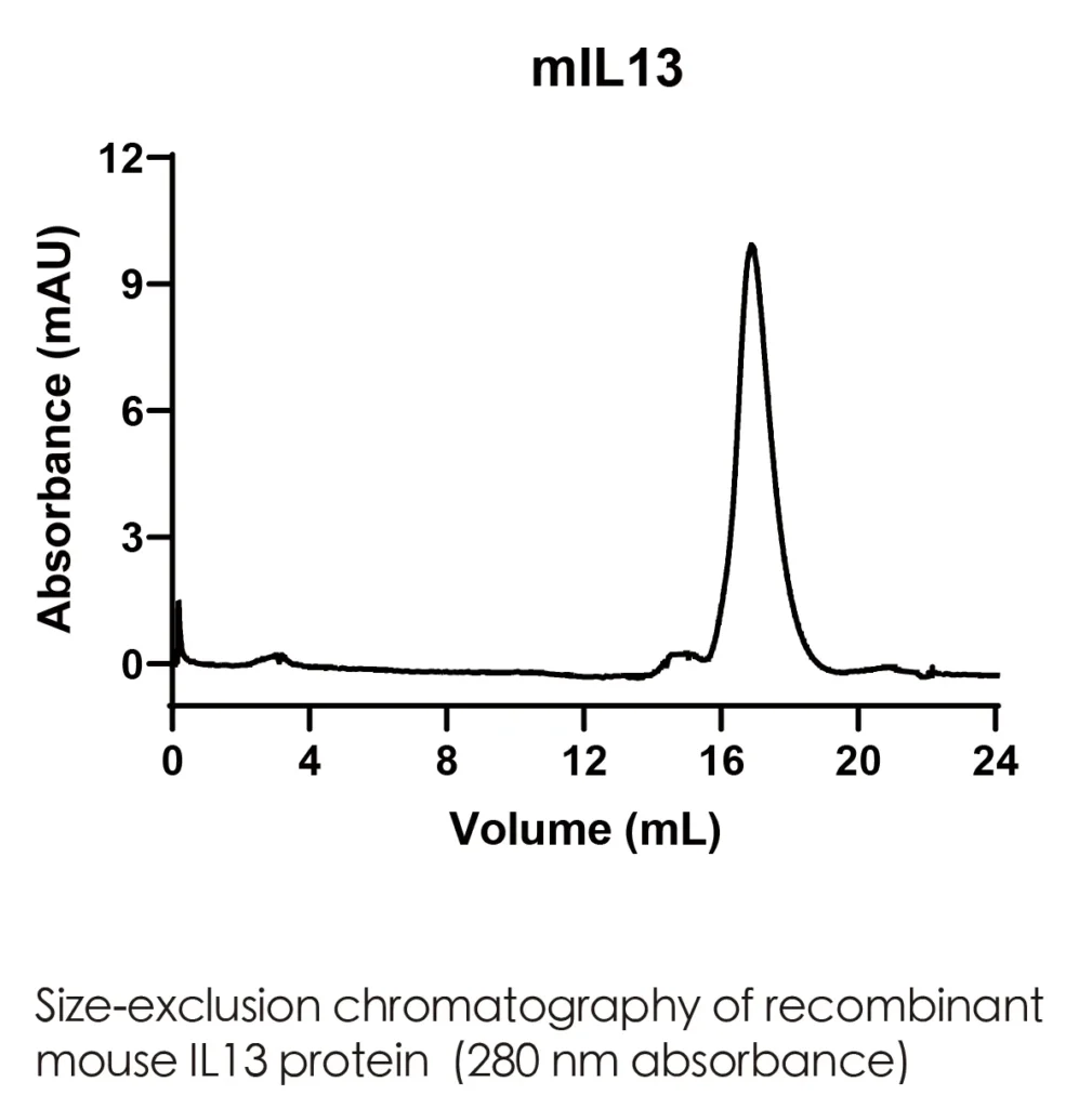 Mouse IL13 Recombinant Protein (HEK293 Expression) — Tag Free - Image 2