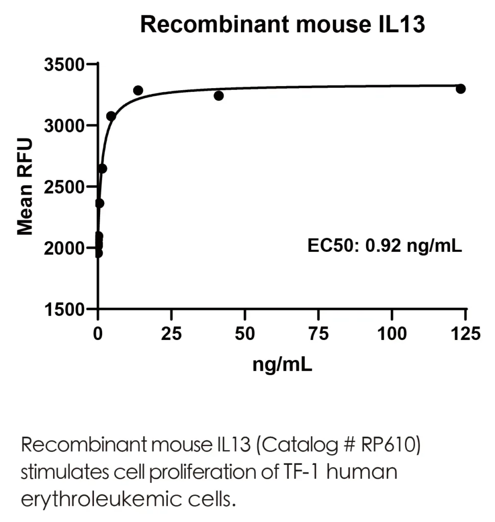 Mouse IL13 Recombinant Protein (HEK293 Expression) — Tag Free - Image 3
