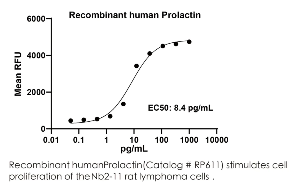 Human Prolactin Recombinant Protein (HEK293 Expression) — Tag Free - Image 2