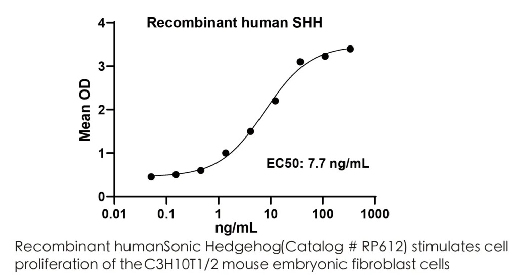 Human SHH Recombinant Protein (HEK293 Expression) — Tag Free - Image 2
