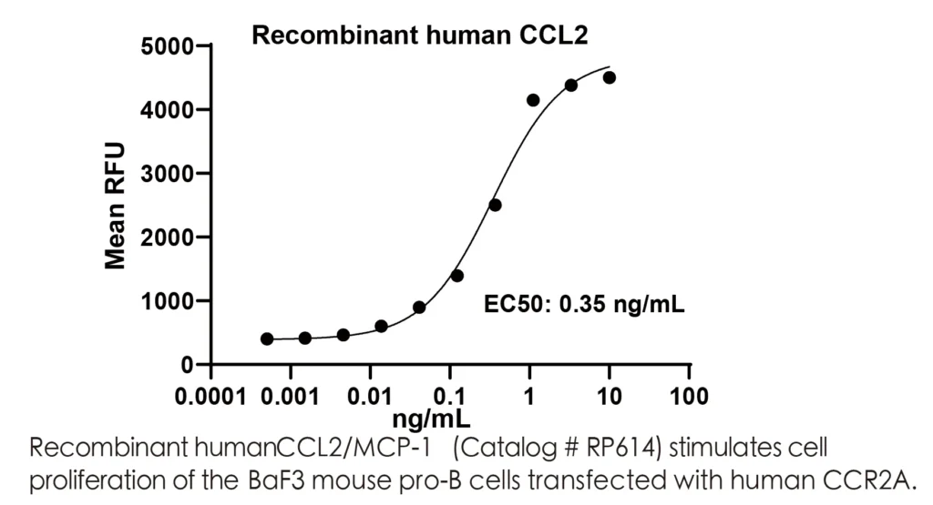 Human CCL2/MCP-1 Recombinant Protein (HEK293 Expression) — Tag Free - Image 2
