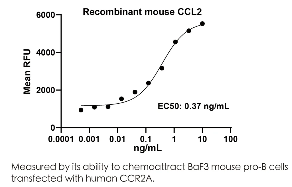Mouse CCL2 Recombinant Protein (HEK293 Expression) - Image 2
