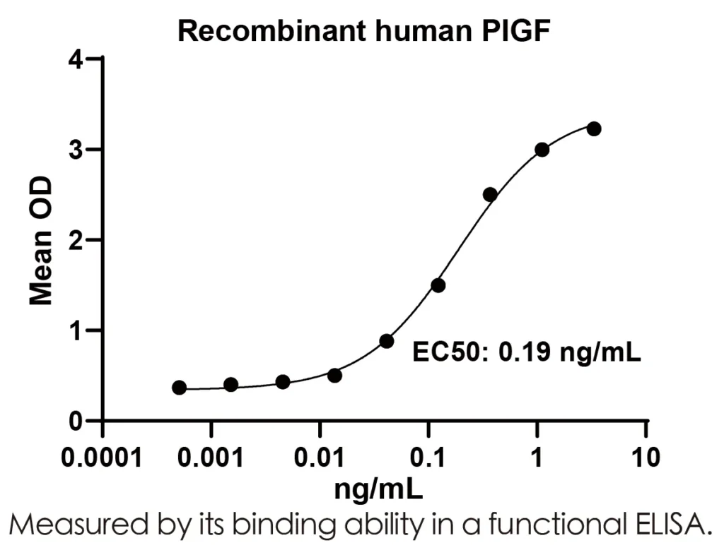Human PIGF Recombinant Protein (HEK293 Expression) — Tag Free - Image 2