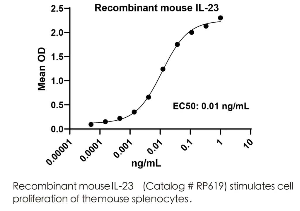 Mouse IL23 Recombinant Protein (HEK293 Expression) — Tag Free - Image 2