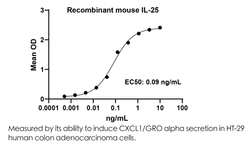 Mouse IL25/mIL17E Recombinant Protein (HEK293 Expression) — Tag Free - Image 2