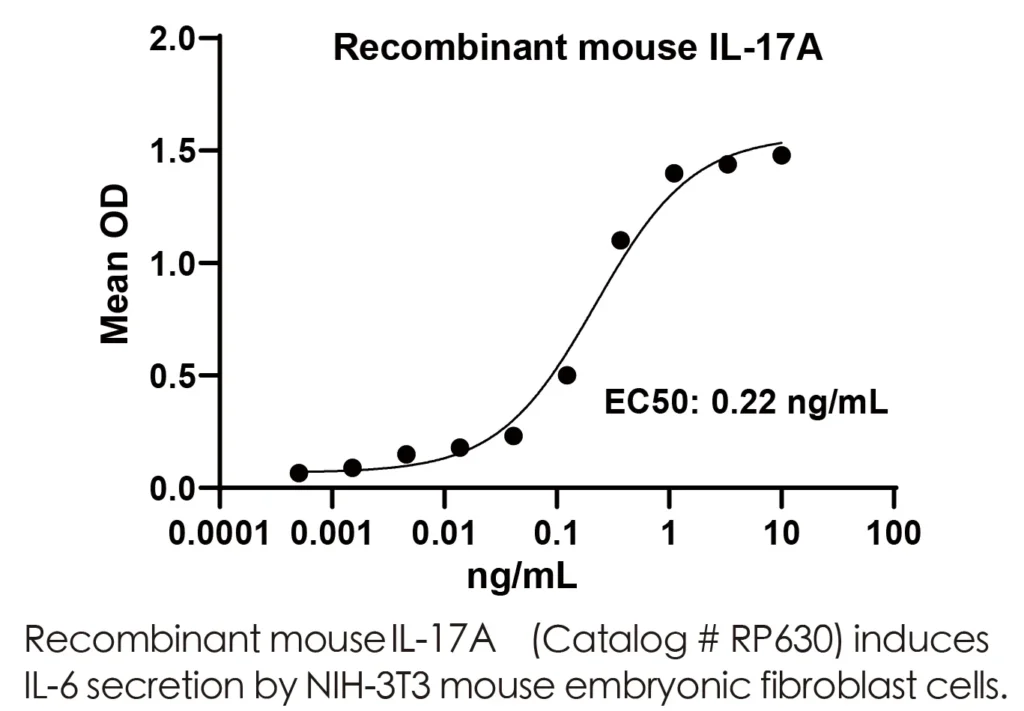 Mouse IL17A Recombinant Protein (HEK293 Expression) — Tag Free - Image 2