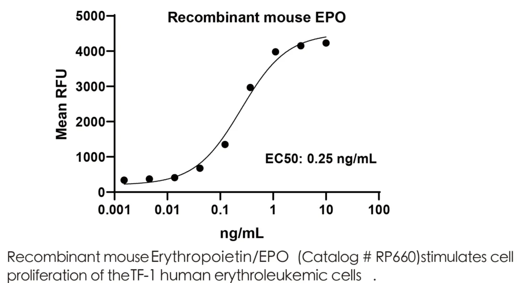 Mouse EPO Recombinant Protein (HEK293 Expression) — Tag Free - Image 2