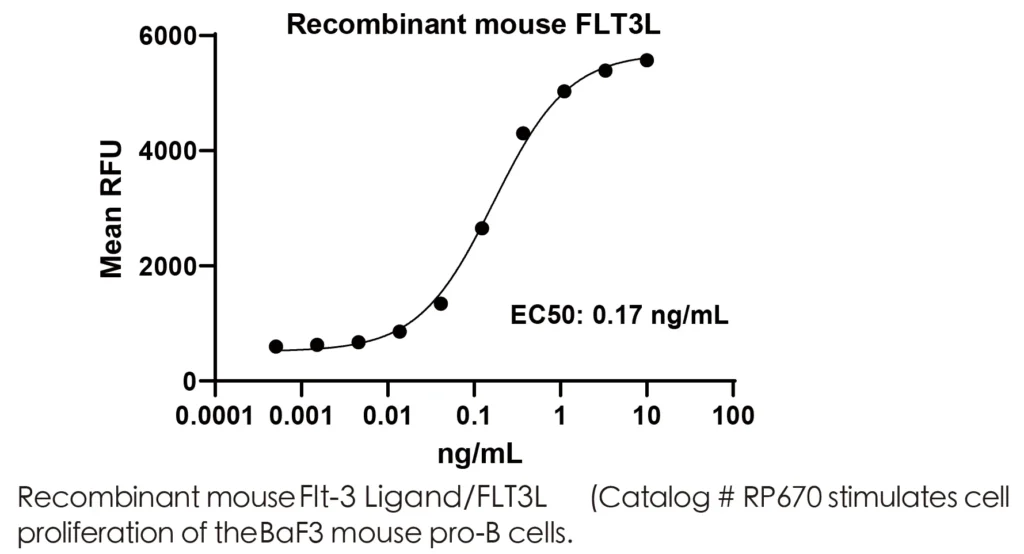 Mouse FLT3L Recombinant Protein (HEK293 Expression) - Image 2