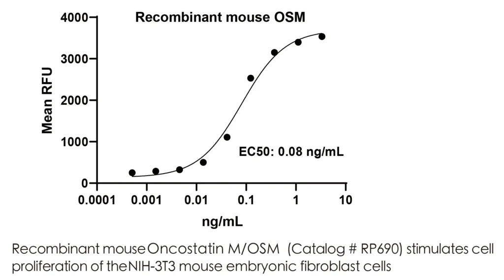 Mouse OSM Recombinant Protein (HEK293 Expression) — Tag Free - Image 2