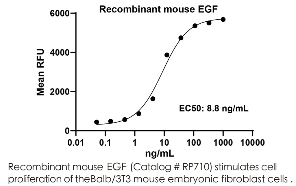 Mouse EGF Recombinant Protein (HEK293 Expression) — Tag Free - Image 2