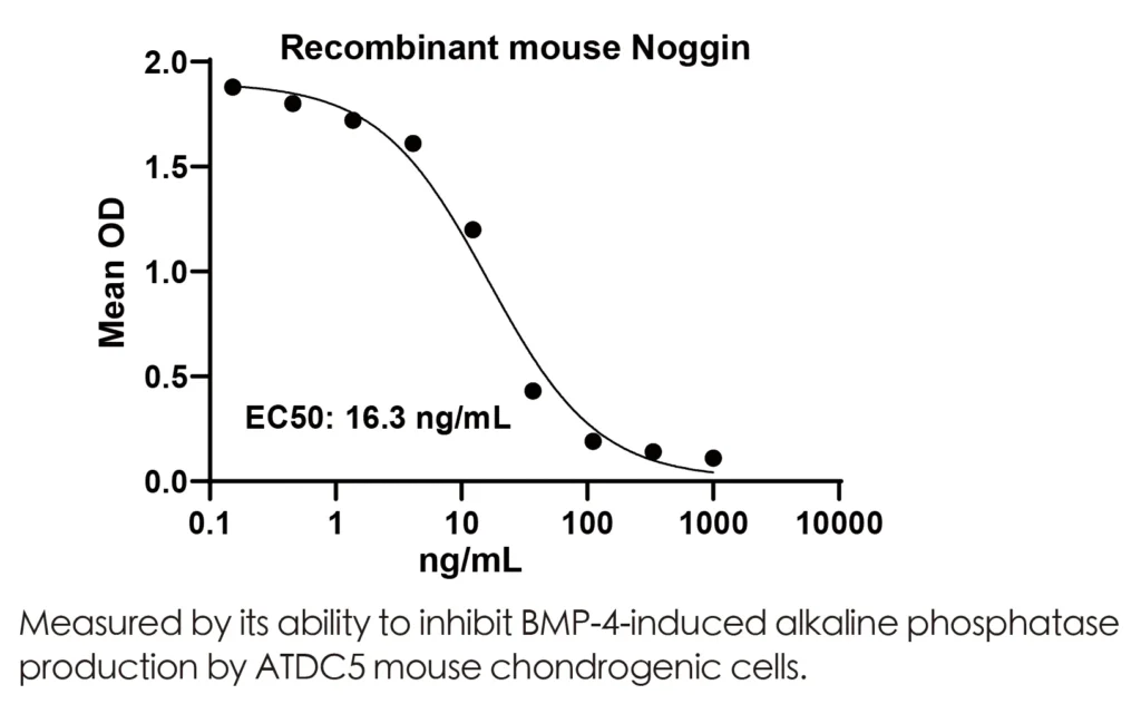Mouse Noggin Recombinant Protein (HEK293 Expression) — Tag Free - Image 2