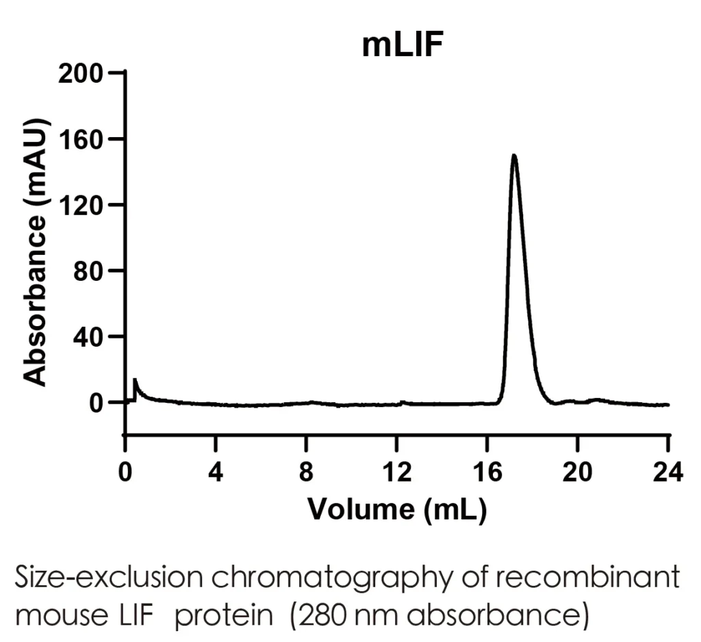 Mouse LIF Recombinant Protein (HEK293 Expression) — Tag Free - Image 2