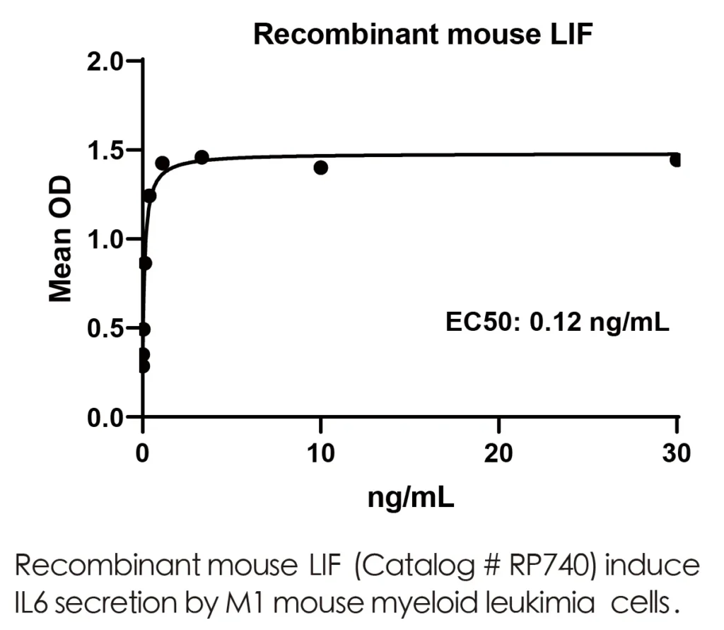 Mouse LIF Recombinant Protein (HEK293 Expression) — Tag Free - Image 3
