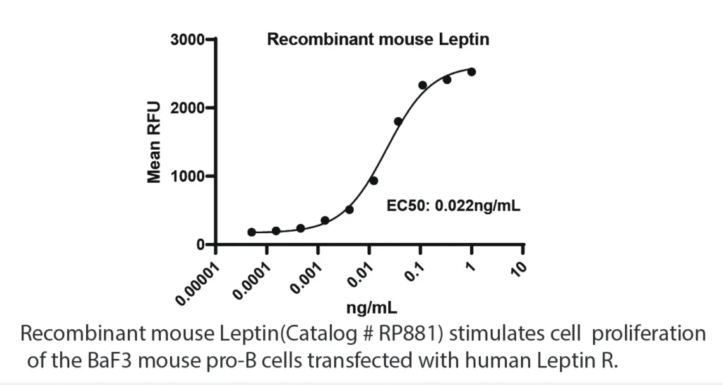 Mouse LEPTIN Recombinant Protein (HEK293 Expression) — Tag Free - Image 2
