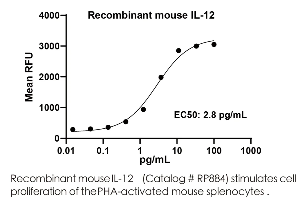 Mouse IL12 Recombinant Protein (HEK293 Expression) — Tag Free - Image 2