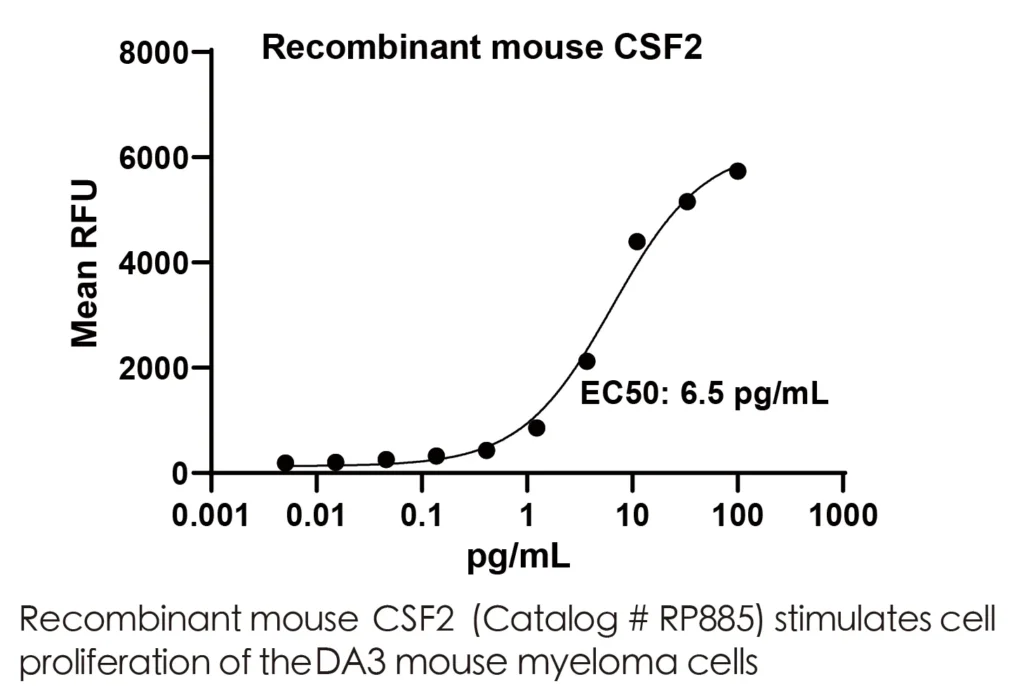 Mouse CSF2 Recombinant Protein (HEK293 Expression) — Tag Free - Image 2