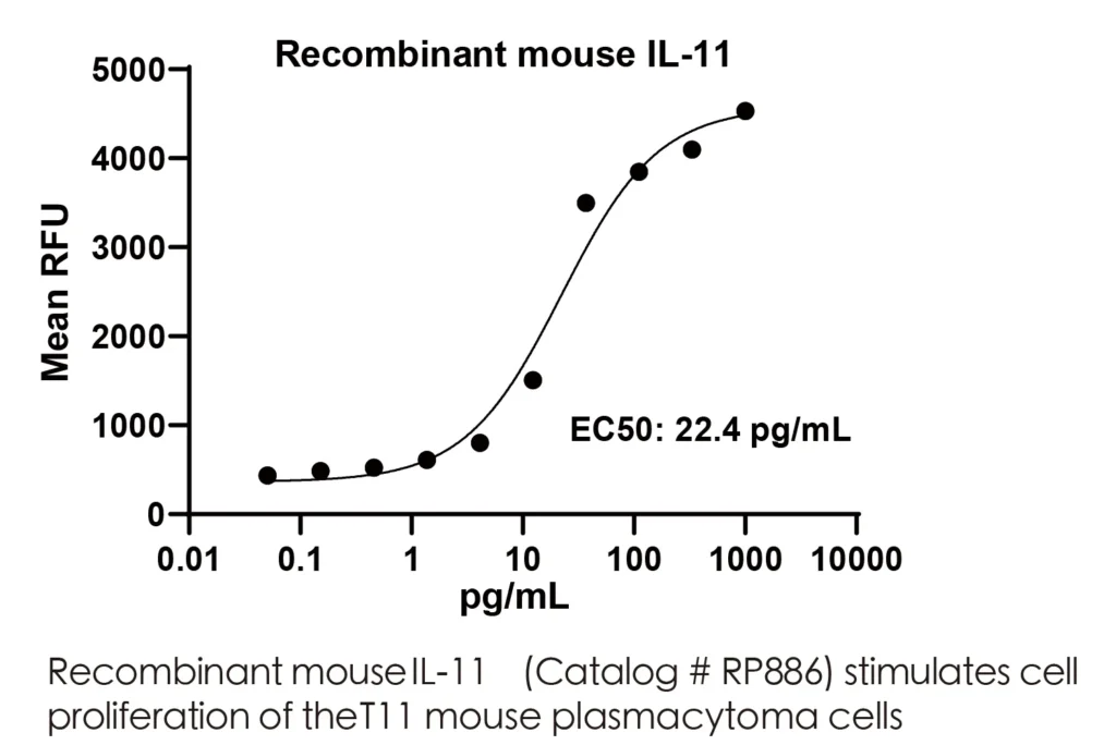 Mouse IL11 Recombinant Protein (HEK293 Expression) — Tag Free - Image 2