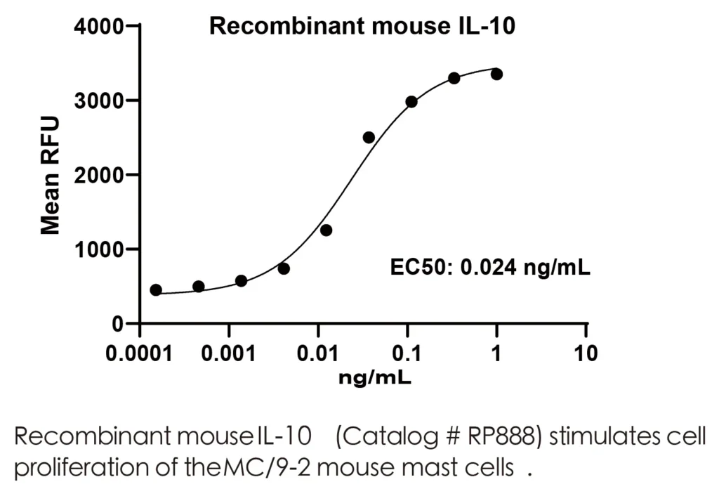 Mouse IL10 Recombinant Protein (HEK293 Expression) — Tag Free - Image 2