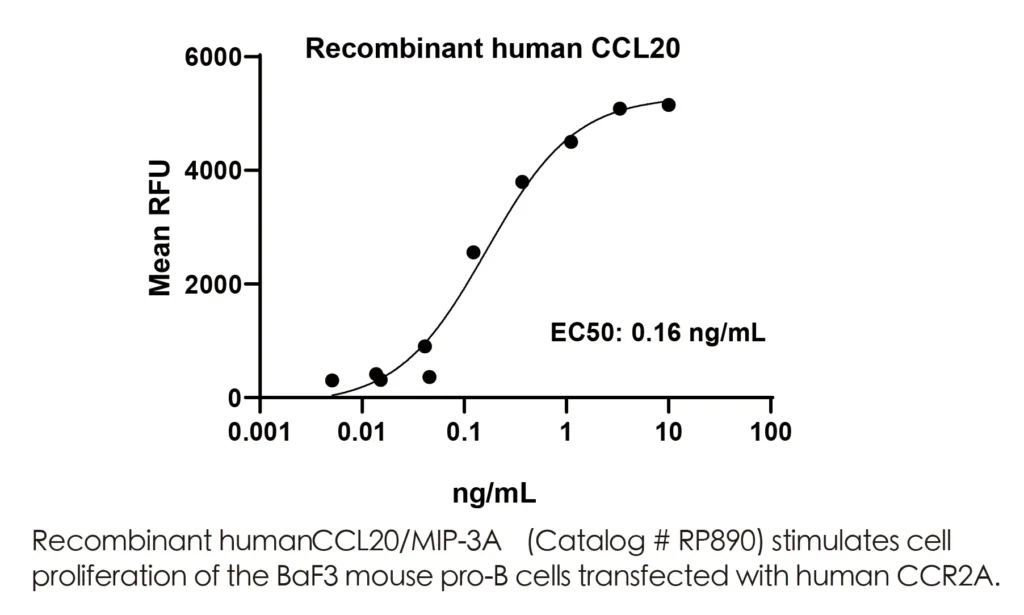 Human CCL20/MIP-3A Recombinant Protein (HEK293 Expression) - Image 2