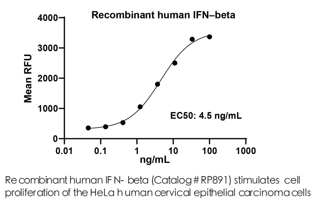 Human IFNB Recombinant Protein (HEK293 Expression) — Tag Free - Image 2