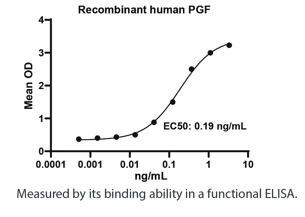 Human PGF Recombinant Protein (HEK293 Expression) - Image 2